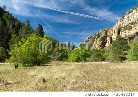 West fork Trail 25458317