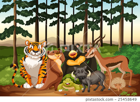 Many animals living in the jungle Many animals living in the jungle 25458649