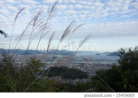 Seto Inland Sea in autumn (Setonaikai and Susuki seen from Hijima City Onigashiro) Seto Inland Sea in autumn (Setonaikai and Susuki seen from Hijima City Onigashiro) 25459005