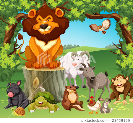 Wild animals in the forest 25459169