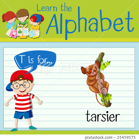 Flashcard letter T is for tarsier 25459575