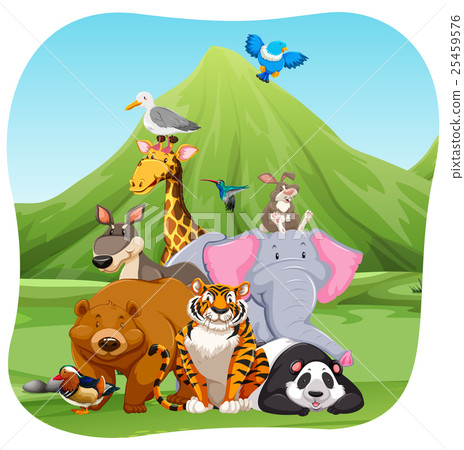 Wild animals in the field 25459576