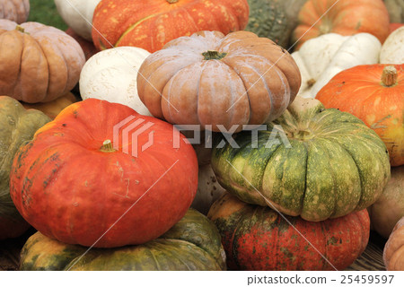 Pumpkin at Halloween market Pumpkin at Halloween market 25459597