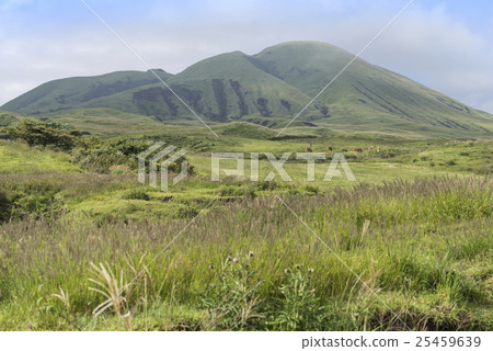 Mt. Aso Volcano 25459639
