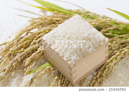 品種和米飯 品種和米飯 25459765