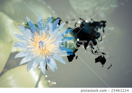 Beautiful Nature Lotus Flower with world map 25461224