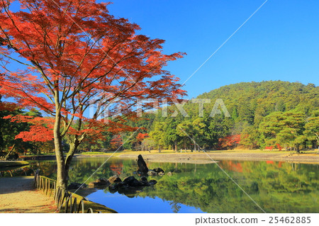 Heritage Heritage World Heritage Hikietsuji in autumn leaves Heritage Heritage World Heritage Hikietsuji in autumn leaves 25462885
