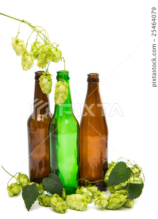 bottle with hop cones 25464079