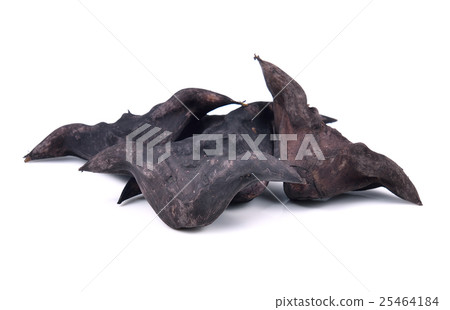 Water Caltrops, Trapa natans isolated on white Water Caltrops, Trapa natans isolated on white 25464184