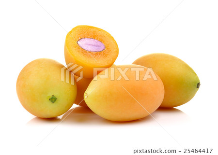 sweet marian plum thai fruit isolated on white 25464417