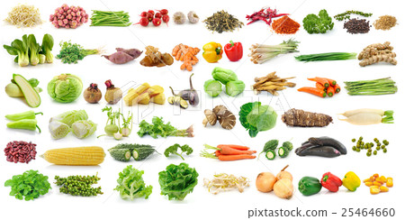 set of vegetable on white background 25464660