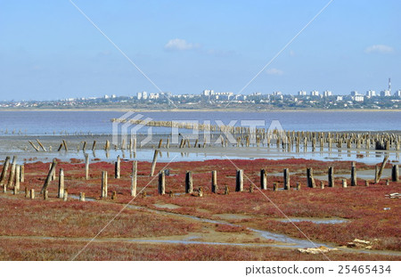 Dry dead lake with a rare wonder mud Dry dead lake with a rare wonder mud 25465434