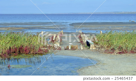 Dry dead lake with a rare wonder mud Dry dead lake with a rare wonder mud 25465437