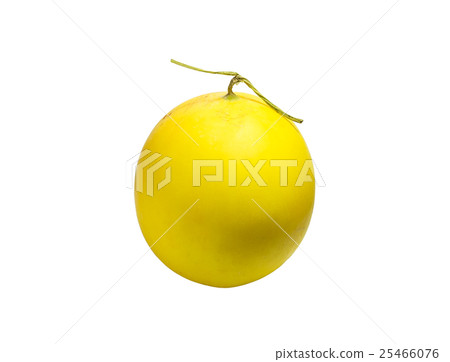 Cantaloupe melon yellow 25466076