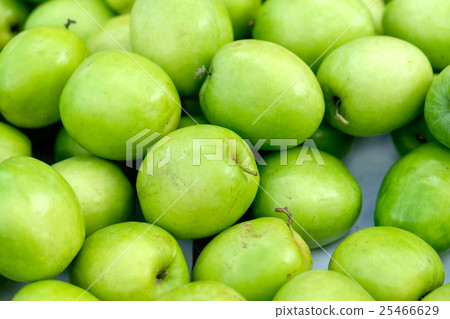 Jujube, Indian jujube, Chinese date, monkey apple 25466629