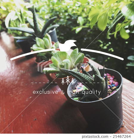 High Quality Brand Marketing Banner Copy Space Concept 25467264