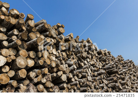 Big pile of wood logs 25471835