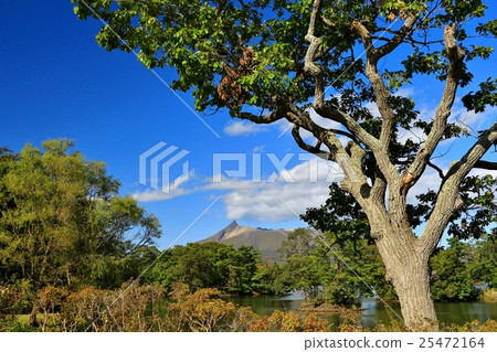 Lake Onuma and Komagatake 25472164
