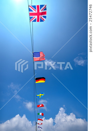 The national flag 25472746