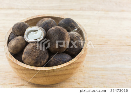 Sliced Barometer Earthstars mushroom. 25473016