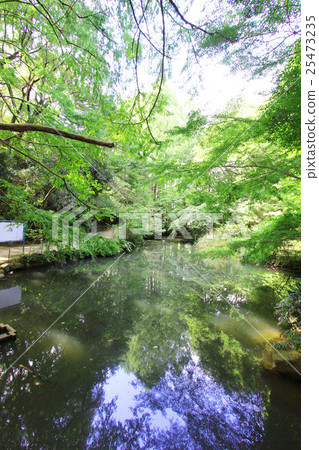 池田綠地池塘在後面 25473235