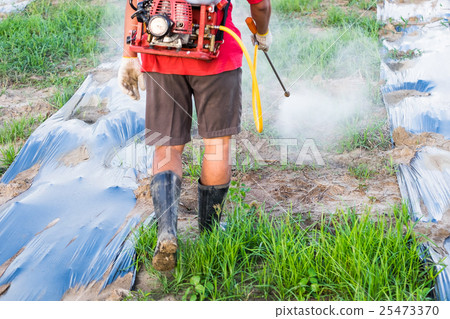 Back farmer spraying pesticides or fertilizers 25473370