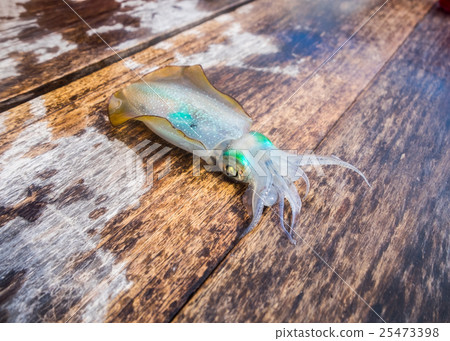 Squid clear green eye on wooden boat Squid clear green eye on wooden boat 25473398