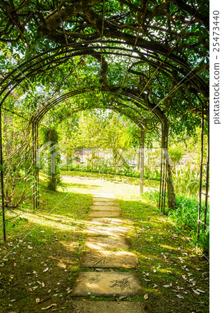 Arch green soft natural path walkway Arch green soft natural path walkway 25473440