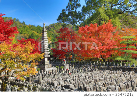 Autumn Leaves Of Adashino Nenbutsu-ji  25475212