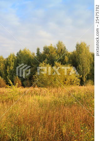 Autumn landscape 25475782