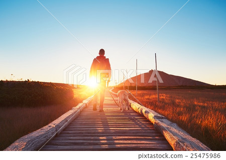 Man with dog on the trip in the mountains 25475986
