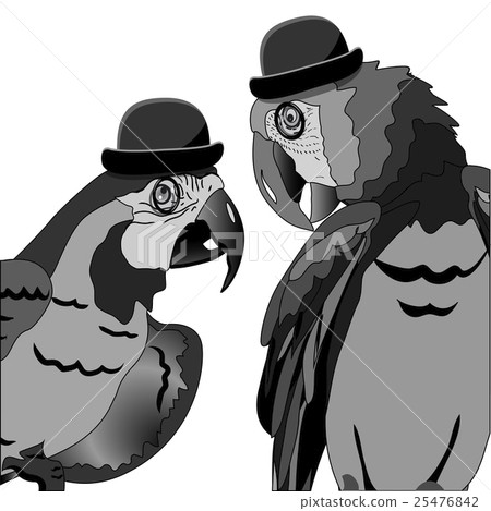 The Dispute of Two Parrots 25476842