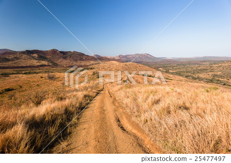 Dirt Road Trail Wilderness Dirt Road Trail Wilderness 25477497