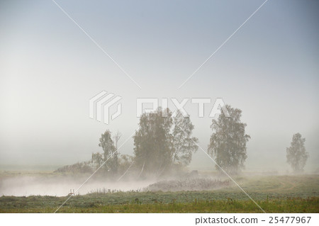 October autumn fields, meadows. Fog on the river 25477967