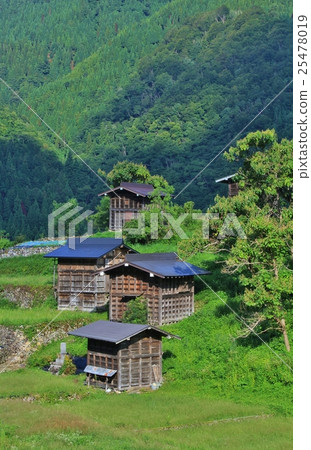 Seed Hida Seed Hida 25478019