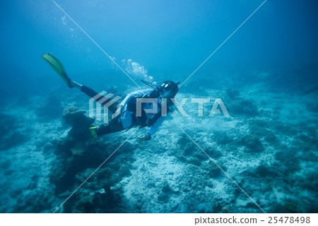 diving diving 25478498