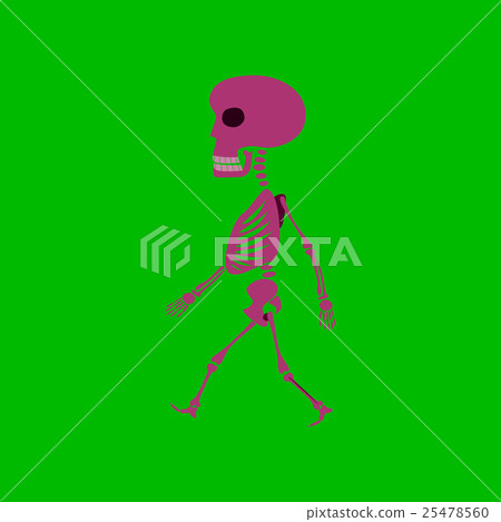 flat illustration on background of skeleton 25478560