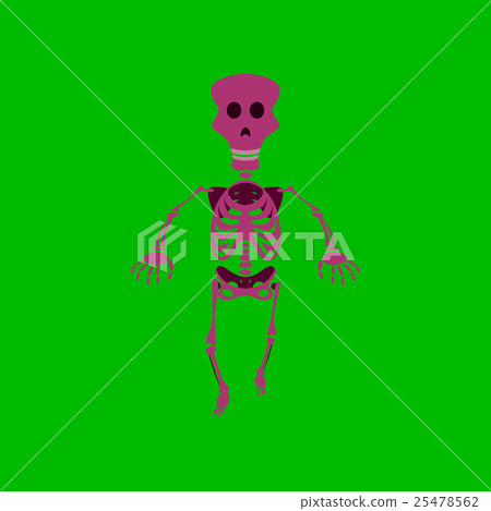 flat illustration on background of skeleton 25478562