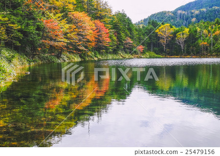 Twin pond (female pond) 1 Twin pond (female pond) 1 25479156