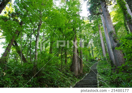 Haguroyama朝聖之路 25480177