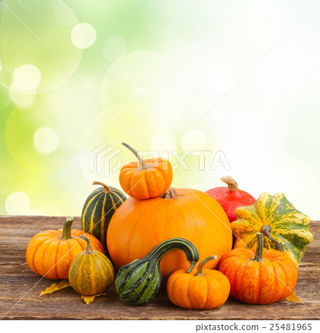 pumpkin on table pumpkin on table 25481965