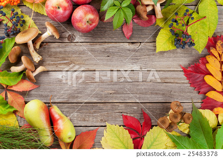 Autumn background Autumn background 25483378