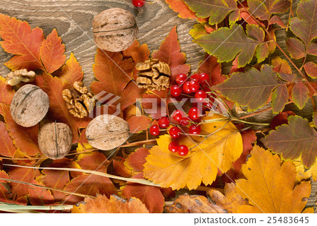 autumn leaves on wood background 25483645