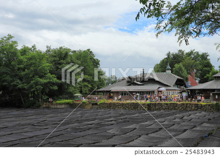 Daio Wasabi Farm Daio Wasabi Farm 25483943