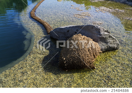 Textile fabric net in natural swimming pond Textile fabric net in natural swimming pond 25484886