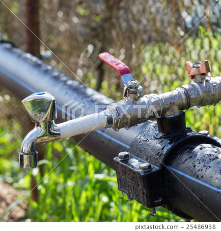 Faucet at garden 25486938