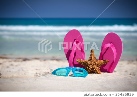 Pink flip flops, swimming glasses and starfish Pink flip flops, swimming glasses and starfish 25486939