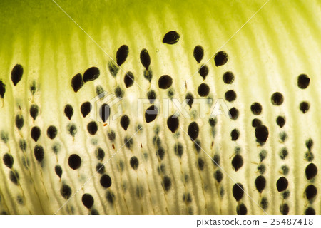 Kiwi fruit sliced flesh macro closeup on bright 25487418