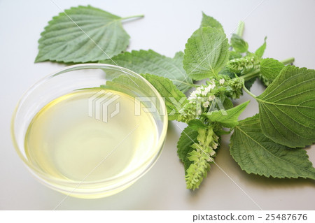 Perilla oil 25487676