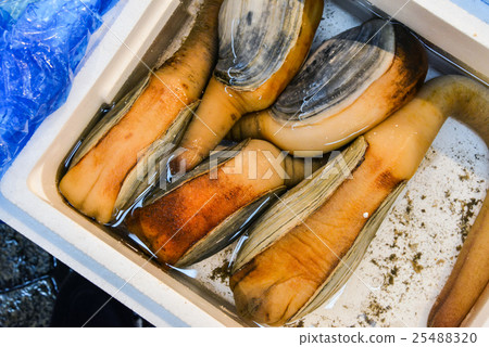Mill shellfish 25488320